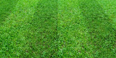 Futbol ve futbol spo için yeşil çim alan desen arka plan