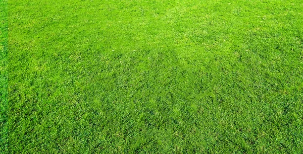 Paisagem do campo de grama no parque público verde uso como bac natural — Fotografia de Stock