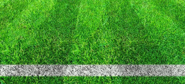Футбольная линия в зеленой траве футбольного поля. Зелёная лужайка — стоковое фото