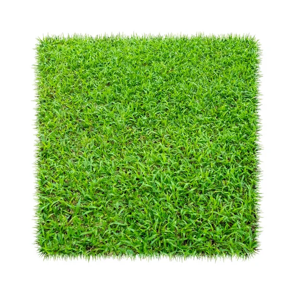 Rumput Hijau Latar Belakang Tekstur Alami Rumput Hijau Musim Semi — Stok Foto