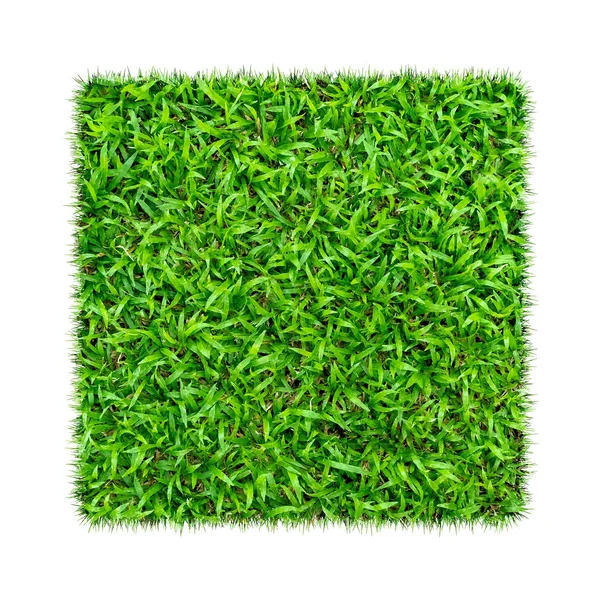 Hierba Verde Fondo Textura Natural Hierba Verde Primavera Fresca Aislado — Foto de Stock