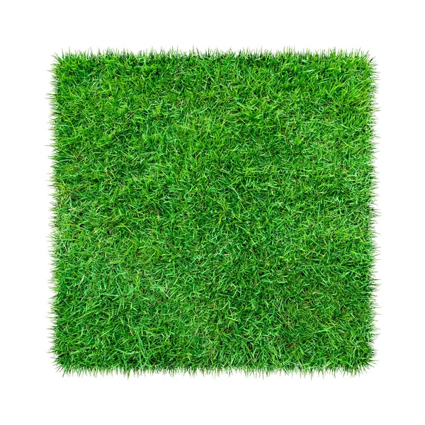 Zöld Természetes Textúra Háttér Friss Zöld Tavaszi Elszigetelt Fehér Background — Stock Fotó