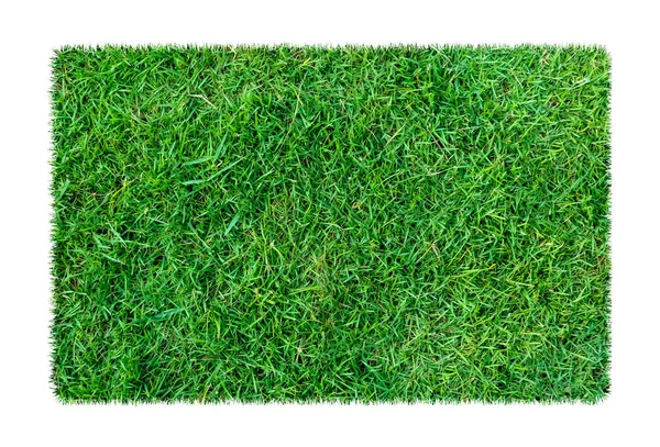 Zielona Trawa Naturalny Tekstura Tło Wiosenne Zielone Trawy Białym Tle — Zdjęcie stockowe