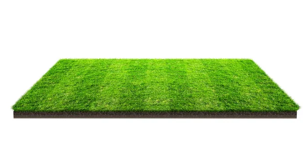 Зеленое Травяное Поле Изолировано Белом Подстриженной Дорожкой Спортивное Поле Летние — стоковое фото