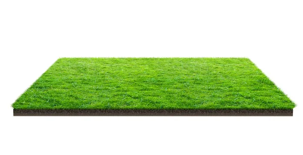 Зелене Поле Трави Ізольоване Білому Відсічним Контуром Спортивне Поле Літні — стокове фото