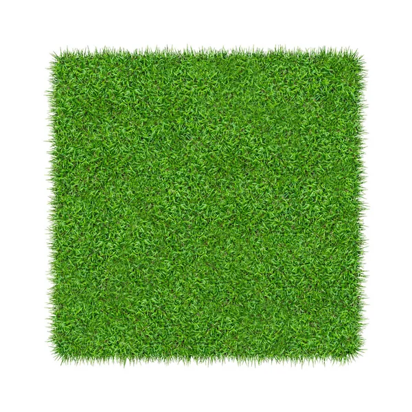 緑の草 自然な風合いの背景 新鮮な春の緑の草 クリッピング パスと白い背景で隔離 — ストック写真