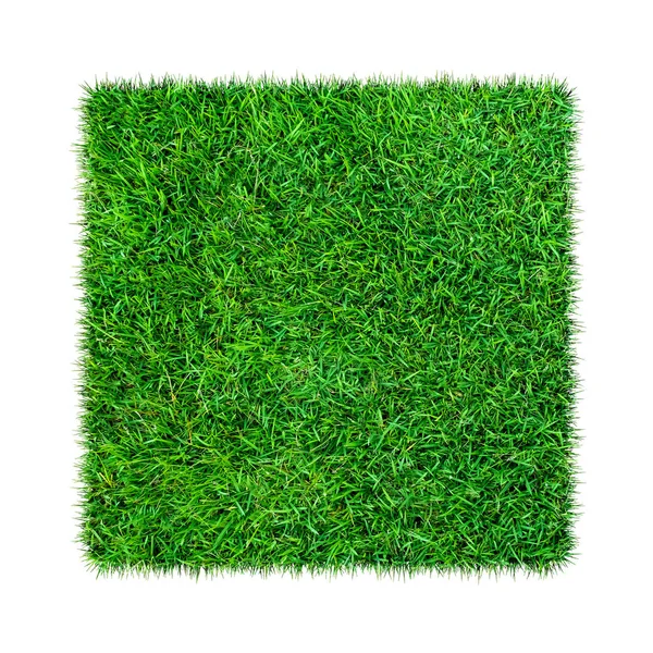 Herbe Verte Texture Naturelle Fond Herbe Verte Printanière Fraîche Isolé — Photo
