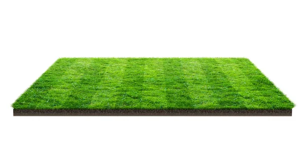 Green Grass Field Isolated White Clipping Path Sports Field Summer — Stock Photo, Image