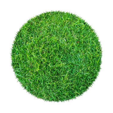 Arkaplan için soyut yeşil çimen dokusu. Çember yeşil çimen deseni kırpma yolu ile beyaz bir arkaplanda izole.
