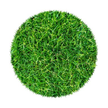 Arkaplan için soyut yeşil çimen dokusu. Çember yeşil çimen deseni kırpma yolu ile beyaz bir arkaplanda izole.