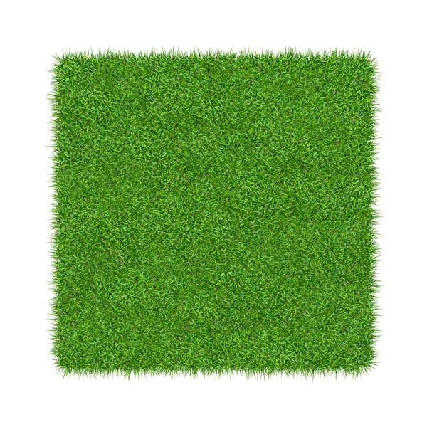 自然纹理背景 新鲜的春天绿草 隔离在白色背景上 带有剪裁路径 — 图库照片