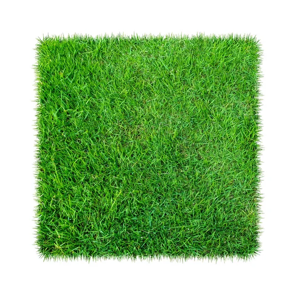 Green Grass Natural Texture Background Fresh Spring Green Grass Isolated — Stock Photo, Image