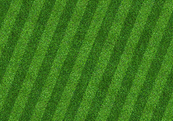 Soccer football field pattern background.