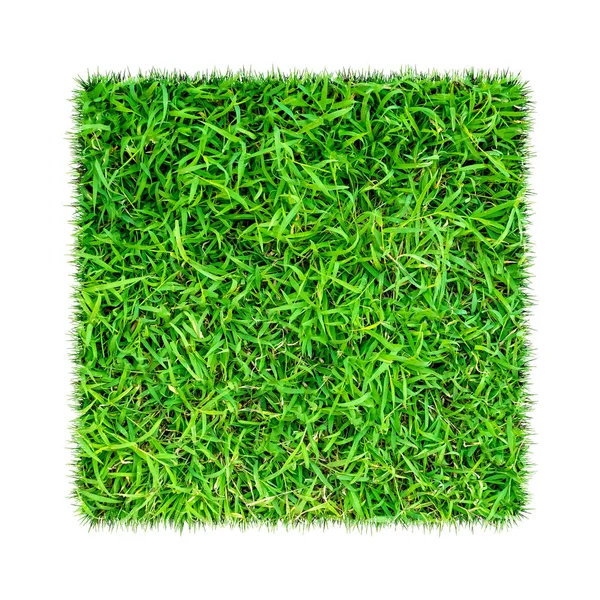 Zielona Trawa Naturalny Tekstura Tło Wiosenne Zielone Trawy Białym Tle — Zdjęcie stockowe