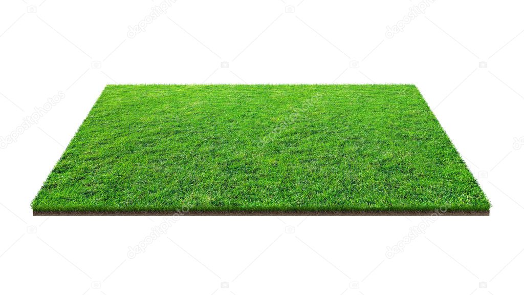 Green grass field isolated on white with clipping path. Sports field. Summer team games. Exercise and recreation place.