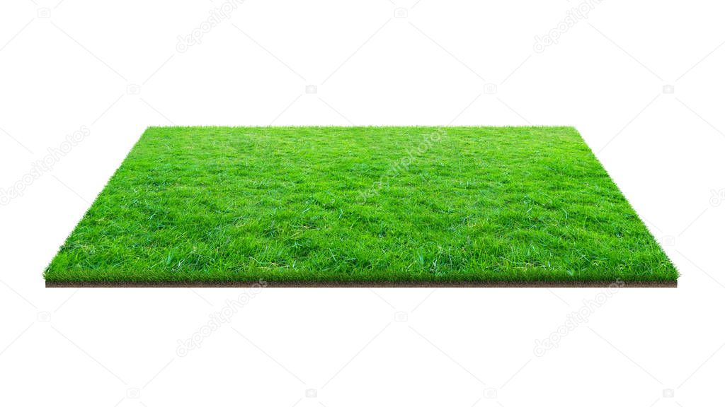 Green grass field isolated on white with clipping path. Sports field. Summer team games. Exercise and recreation place.