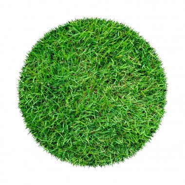 Arkaplan için soyut yeşil çimen dokusu. Çember yeşil çimen deseni kırpma yolu ile beyaz bir arkaplanda izole.