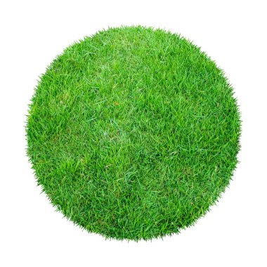 Arkaplan için soyut yeşil çimen dokusu. Çember yeşil çimen deseni kırpma yolu ile beyaz bir arkaplanda izole.