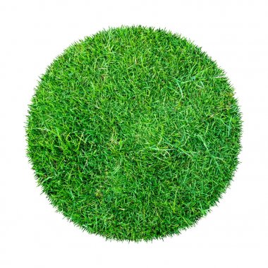 Arkaplan için soyut yeşil çimen dokusu. Çember yeşil çimen deseni kırpma yolu ile beyaz bir arkaplanda izole.