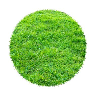 Arkaplan için soyut yeşil çimen dokusu. Çember yeşil çimen deseni kırpma yolu ile beyaz bir arkaplanda izole.