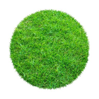 Arkaplan için soyut yeşil çimen dokusu. Çember yeşil çimen deseni kırpma yolu ile beyaz bir arkaplanda izole.