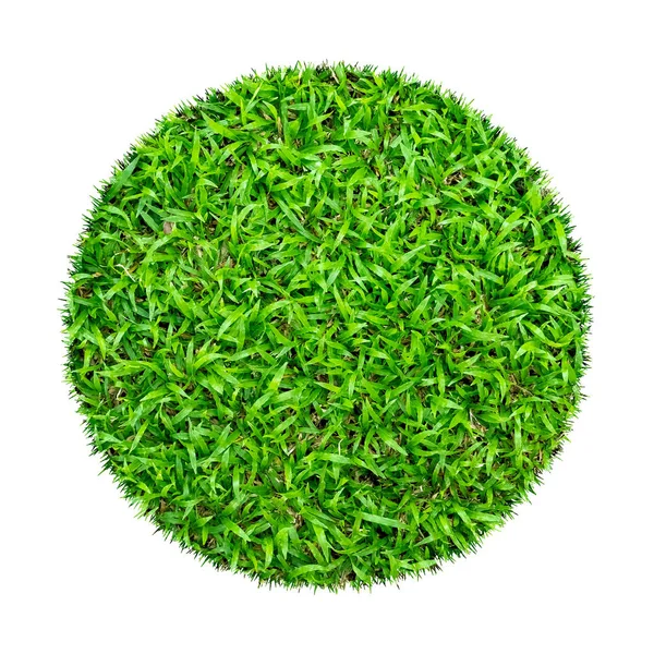 Texture Abstraite Herbe Verte Pour Fond Cercle Motif Herbe Verte — Photo