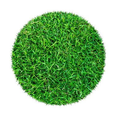 Arkaplan için soyut yeşil çimen dokusu. Çember yeşil çimen deseni kırpma yolu ile beyaz bir arkaplanda izole.