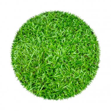 Arkaplan için soyut yeşil çimen dokusu. Çember yeşil çimen deseni kırpma yolu ile beyaz bir arkaplanda izole.