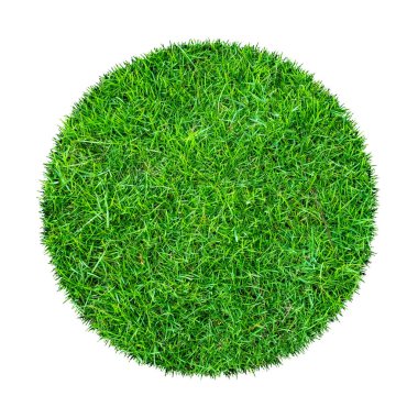 Arkaplan için soyut yeşil çimen dokusu. Çember yeşil çimen deseni kırpma yolu ile beyaz bir arkaplanda izole.