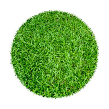 Arkaplan için soyut yeşil çimen dokusu. Çember yeşil çimen deseni kırpma yolu ile beyaz bir arkaplanda izole.