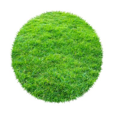 Arkaplan için soyut yeşil çimen dokusu. Çember yeşil çimen deseni kırpma yolu ile beyaz bir arkaplanda izole.