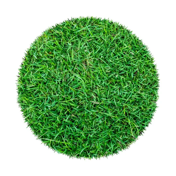 Texture Abstraite Herbe Verte Pour Fond Cercle Motif Herbe Verte — Photo