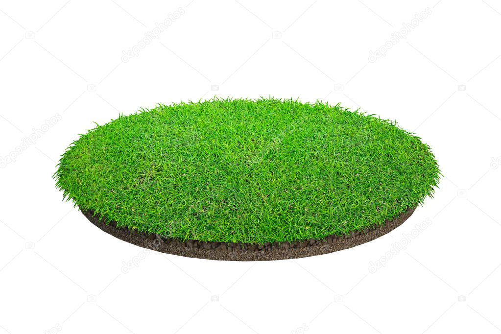 Abstract green grass texture for background. Circle green grass 