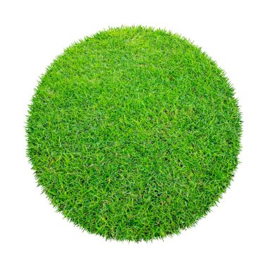Arkaplan için soyut yeşil çimen dokusu. Çember yeşil çimen deseni kırpma yolu ile beyaz bir arkaplanda izole.