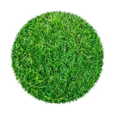 Arkaplan için soyut yeşil çimen dokusu. Çember yeşil çimen deseni kırpma yolu ile beyaz bir arkaplanda izole.