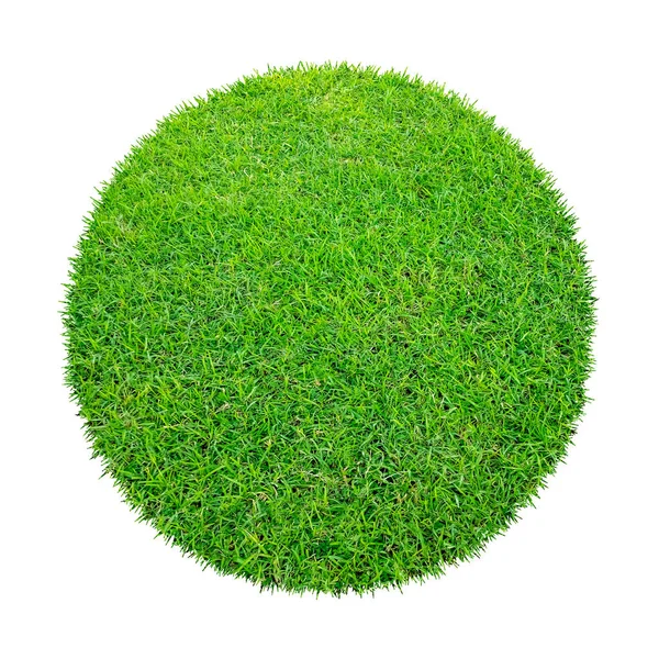 Arkaplan için soyut yeşil çimen dokusu. Çember yeşil çimen deseni kırpma yolu ile beyaz bir arkaplanda izole.