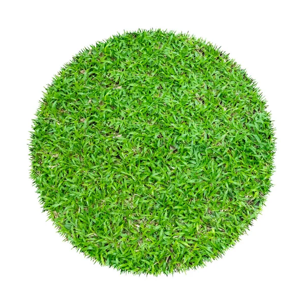 Arkaplan için soyut yeşil çimen dokusu. Çember yeşil çimen deseni kırpma yolu ile beyaz bir arkaplanda izole.