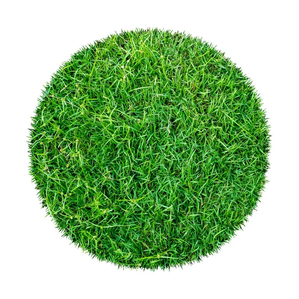 Arkaplan için soyut yeşil çimen dokusu. Çember yeşil çimen deseni kırpma yolu ile beyaz bir arkaplanda izole.