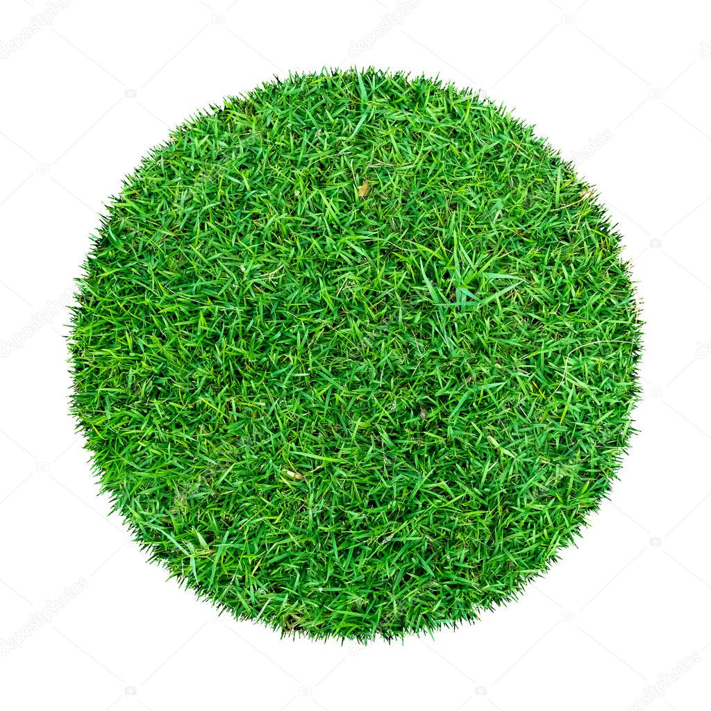 Abstract green grass texture for background. Circle green grass pattern isolated on a white background with clipping path.