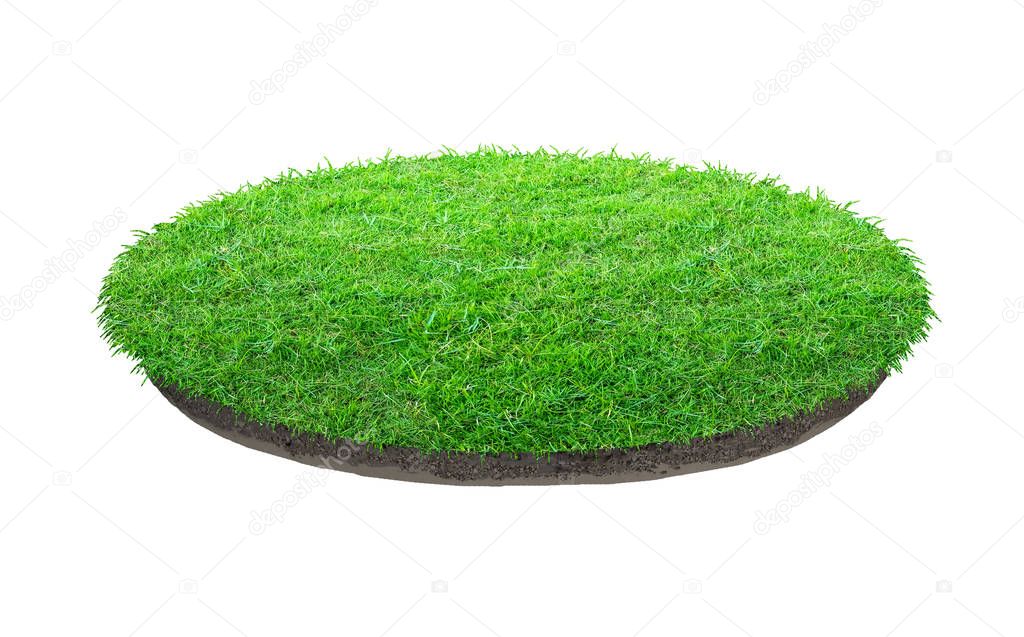 Abstract green grass texture for background. Circle green grass 