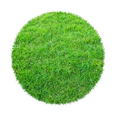 Arkaplan için soyut yeşil çimen dokusu. Çember yeşil çimen deseni kırpma yolu ile beyaz bir arkaplanda izole.