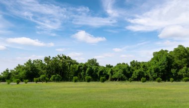 Çimen arazisi ve mavi gökyüzü olan yeşil çevre parkı. Arka plan için güzel yaz manzarası.