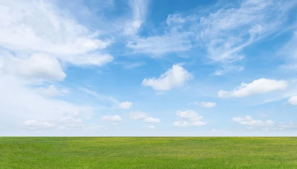 Campo Relva Verde Céu Azul Com Nuvens Suaves Brancas Bela — Fotografia de Stock