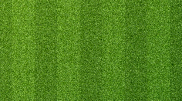 Texture Herbe Verte Pour Fond Sport Modèle Détaillé Terrain Football — Photo