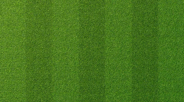 Groene Gras Textuur Voor Sport Achtergrond Gedetailleerd Patroon Van Groene — Stockfoto