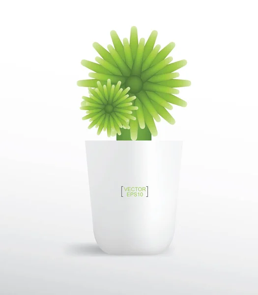 Plantas Decorativas Maceta Árbol Pequeño Idea Objetos Naturales Para Diseño — Vector de stock