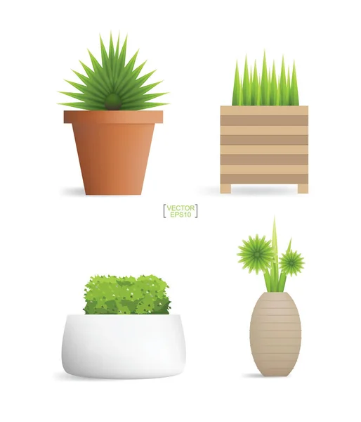 Hermosas Plantas Decoración Maceta Árbol Pequeño Idea Objetos Naturales Para — Vector de stock