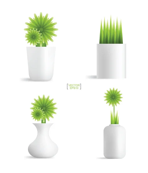 Hermosas Plantas Decoración Maceta Árbol Pequeño Idea Objetos Naturales Para — Vector de stock