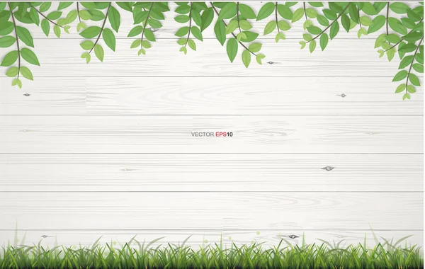 Białe Tło Tekstury Drewna Ramą Zielonych Liści Ilustracja Wektora — Wektor stockowy