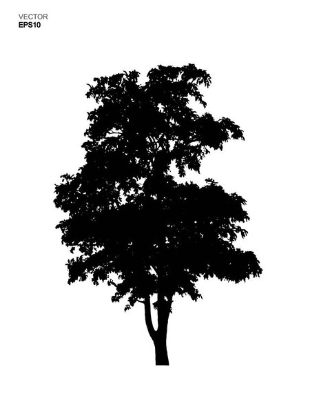 Silhouette tree isolated on white background. Park and outdoor object idea use for landscape design, architectural decorative. Vector illustration.